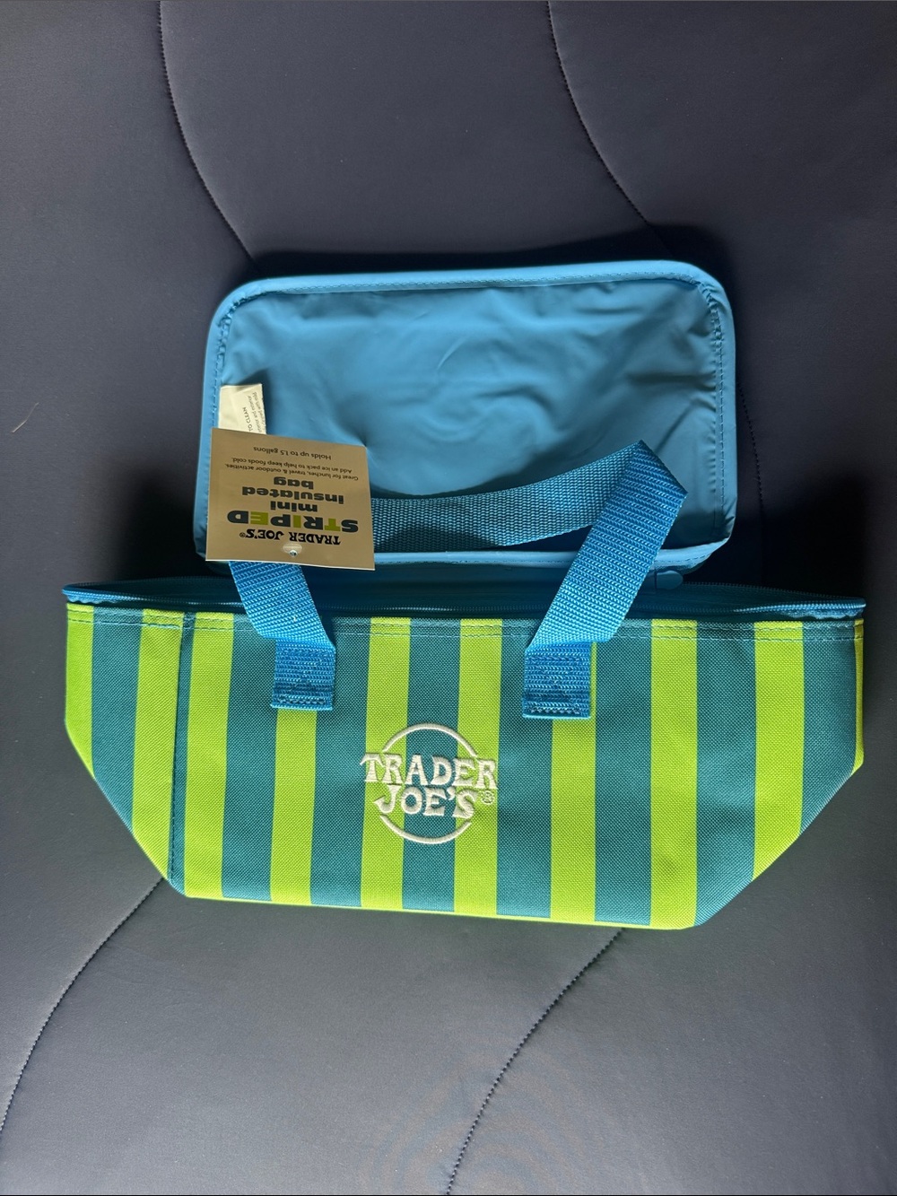 Trader Joe's Striped Insulated Lunch Tote - Teal & Lime